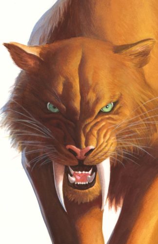 Black Cat #2 2025 Alex Ross Timeless Zabu Virgin Cover 1st Print Variant