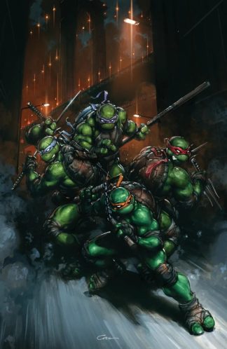 Teenage Mutant Ninja Turtles #13 1:50 Incentive Clayton Crain Virgin Variant 2025 1st Print